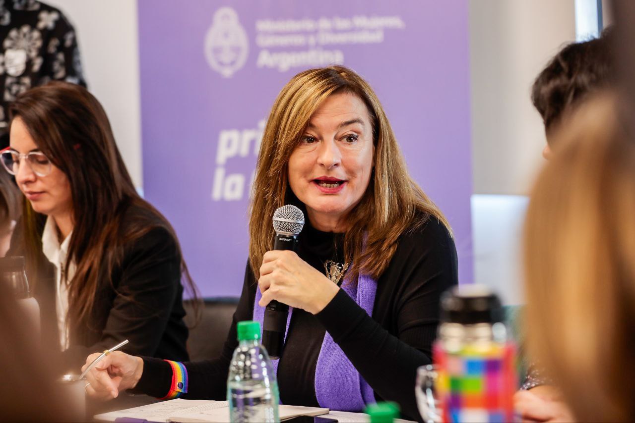 La ministra Díaz en su exposición en el Consejo Federal