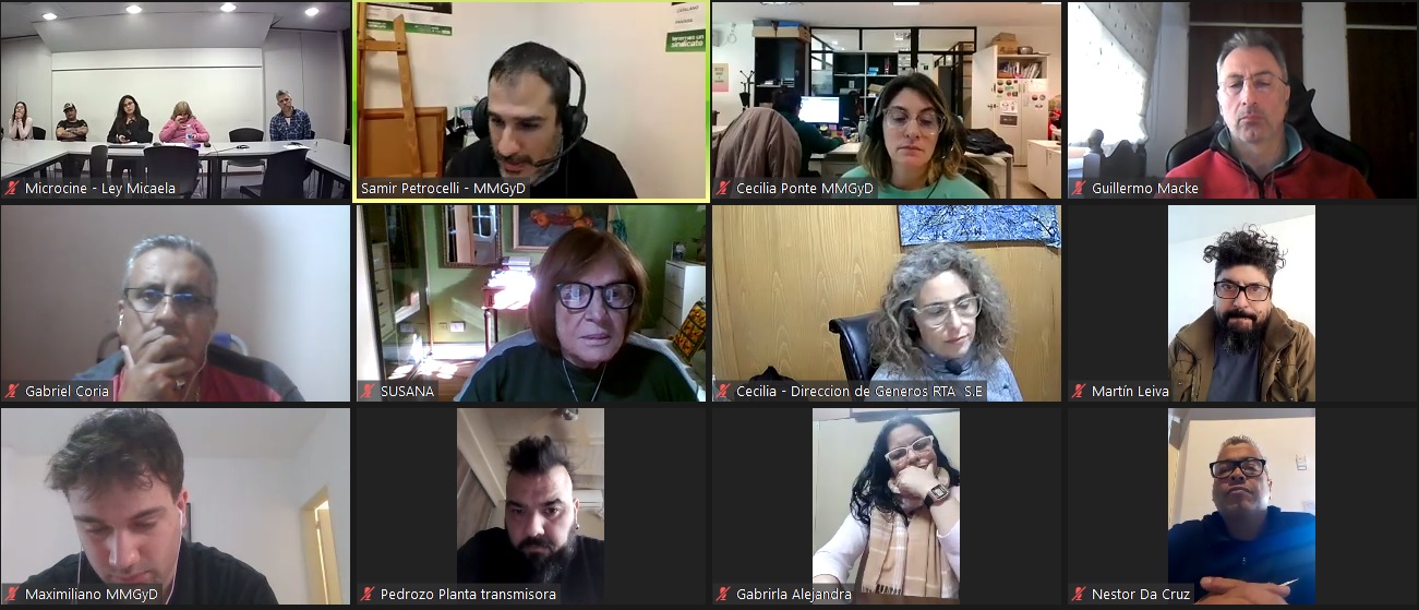 Imagen de las y los participantes de la capacitación durante el encuentro virtual