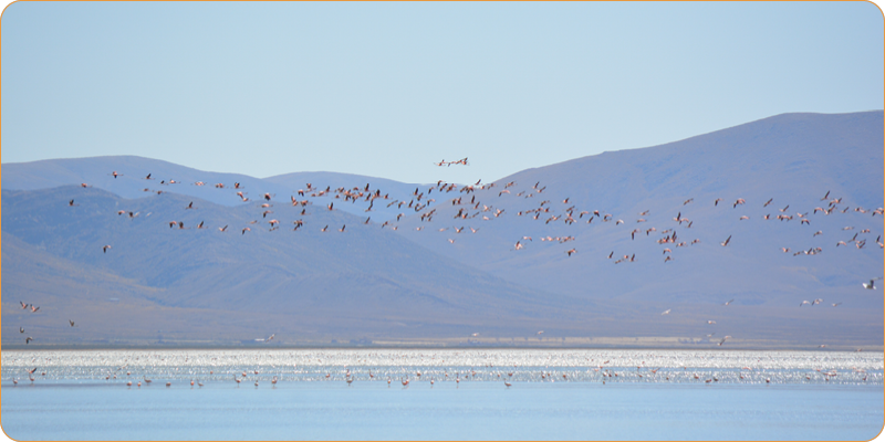 MN Laguna de los Pozuelos