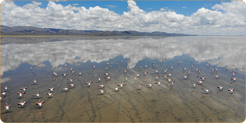 MN Laguna de los Pozuelos