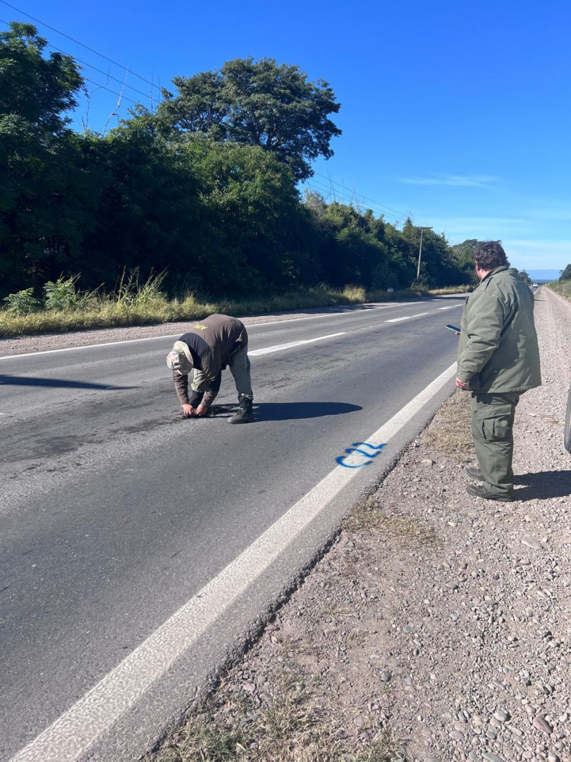 Monitoreo atropellamiento de fauna PN Calilegua 