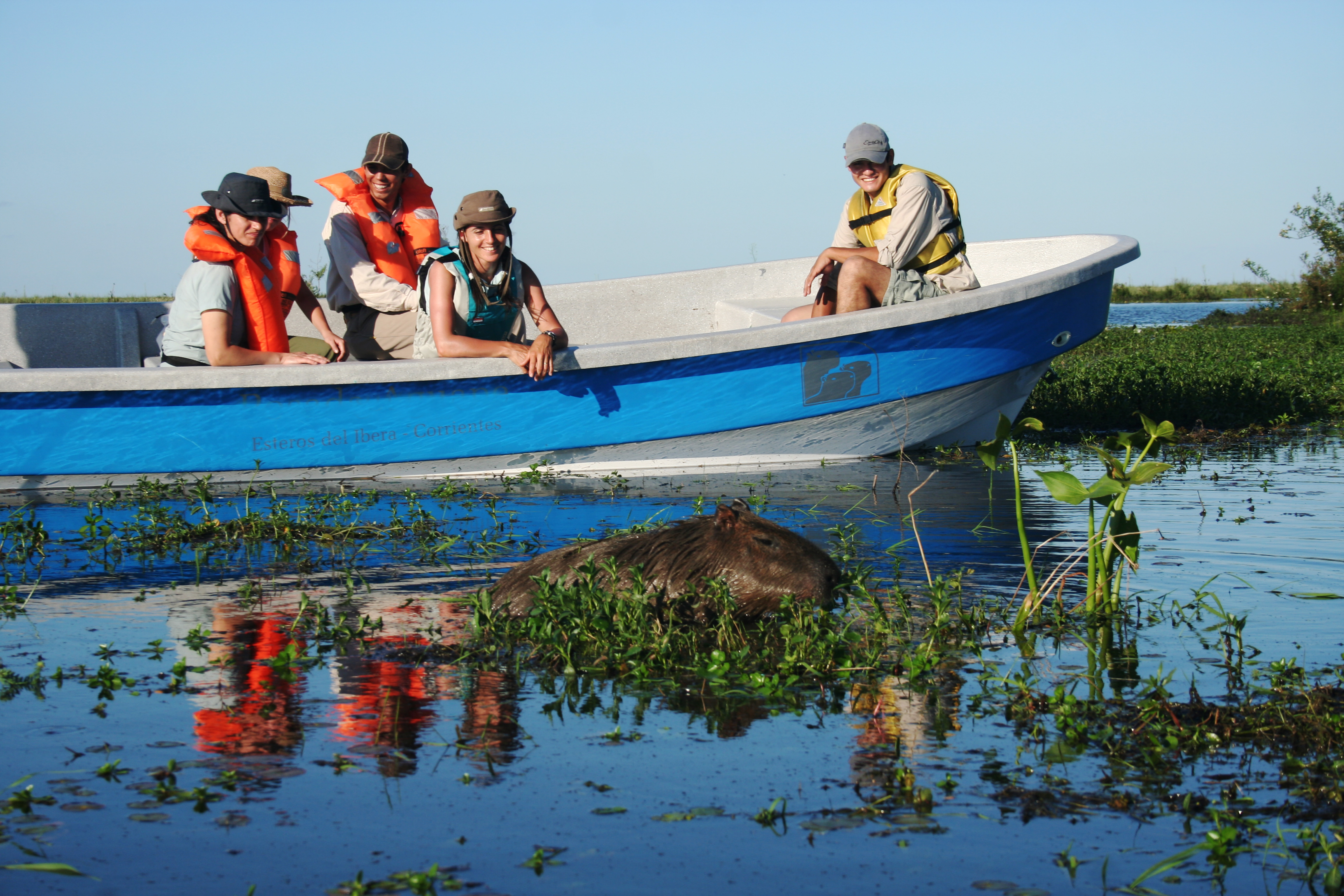 Corrientes El Parque Provincial Iberá Suma 40 Mil Hectáreas Para Su Ampliación 7222