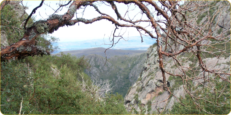 PN Quebrada del Condorito