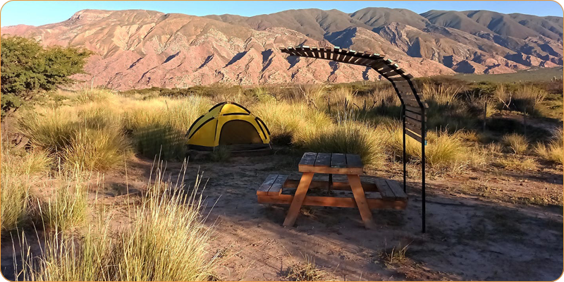 Parque Nacional Los Cardones