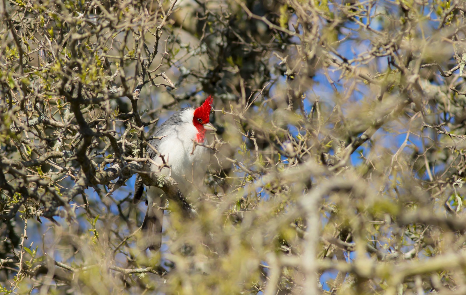Parque Nacional Campos del Tuyú