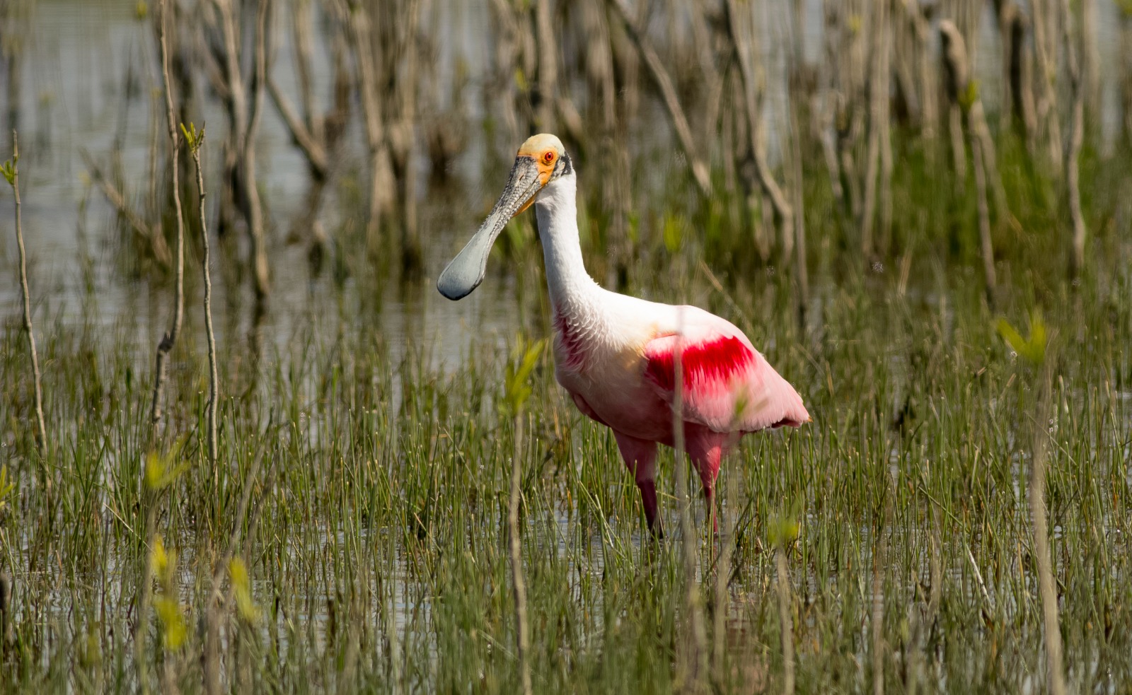 Parque Nacional Campos del Tuyú