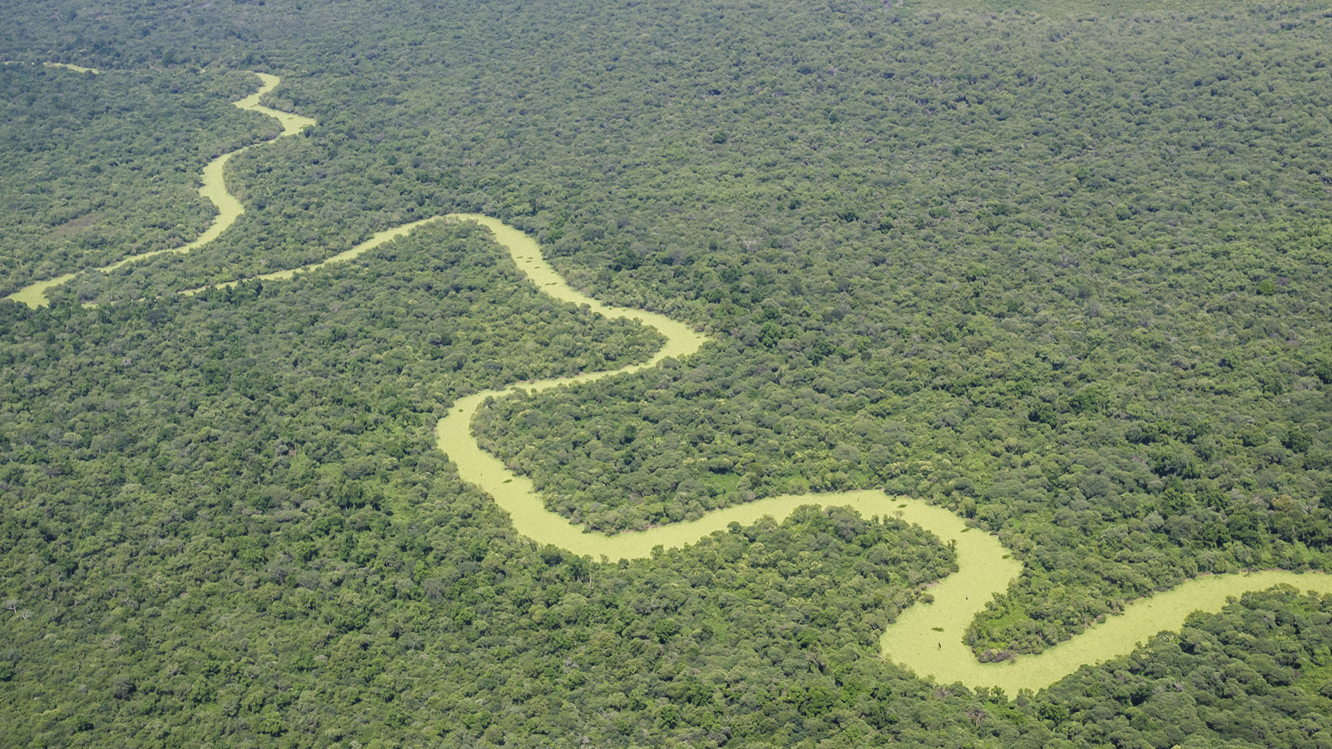 Parque Nacional El Impenetrable Argentina.gob.ar