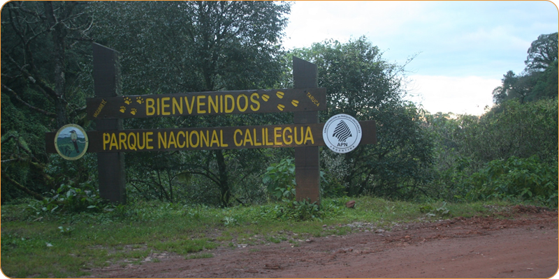 PN Calilegua