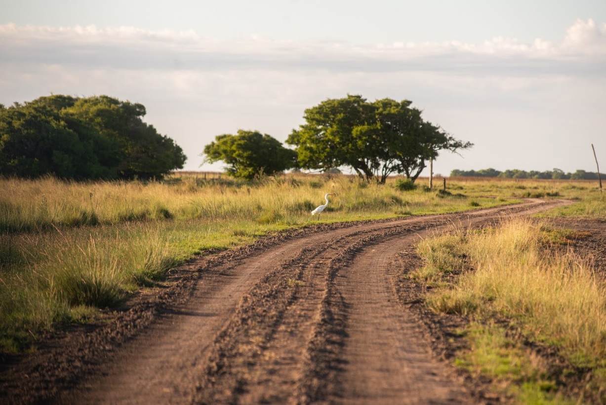 Parque Nacional Campos del Tuyú