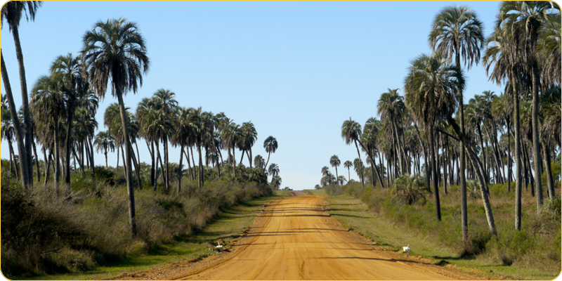 PN El Palmar