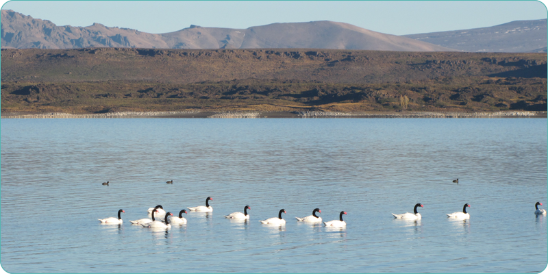 PN Laguna Blanca