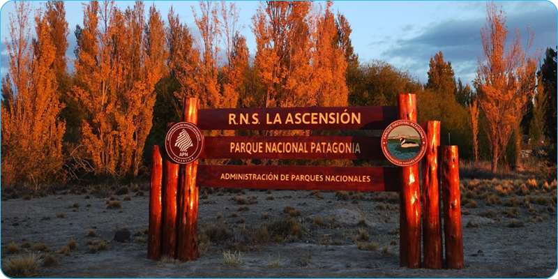 Parque Nacional Patagonia La Ascensión
