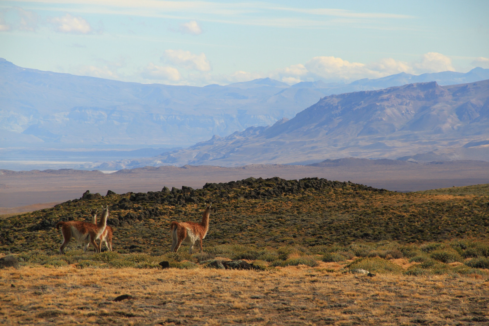 PN Patagonia.