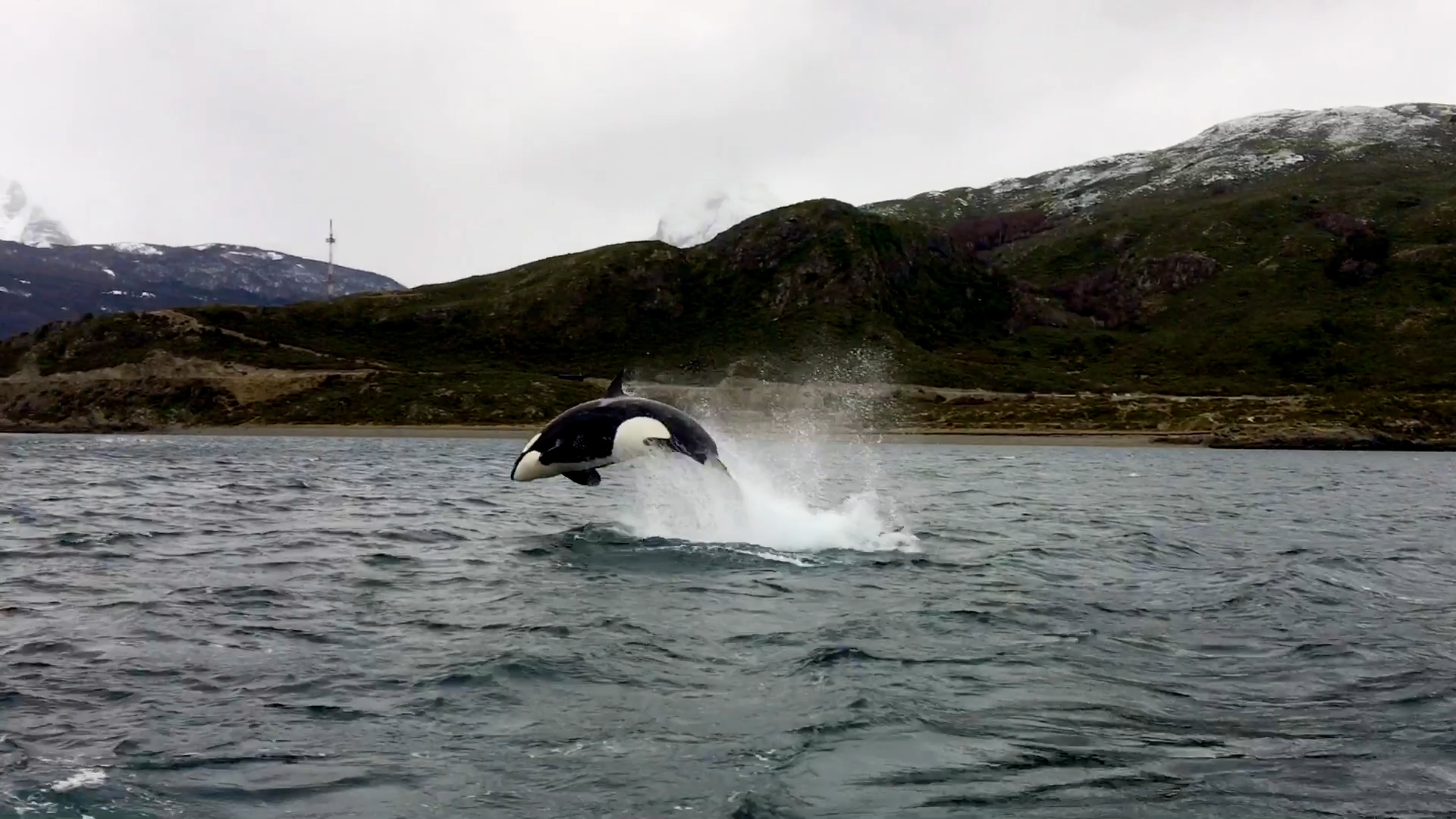 Cuanto cuesta un reservado en ushuaia