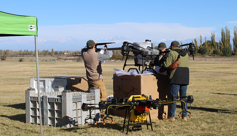 Prueba de drones para servicios en cultivos, en Rivadavia, Mendoza. 
