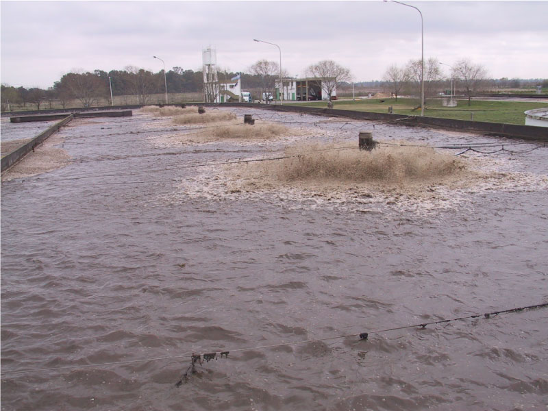 Asistencia técnica sobre procesos de tratamiento de efluentes industriales, cloacales y mixtos Imagen