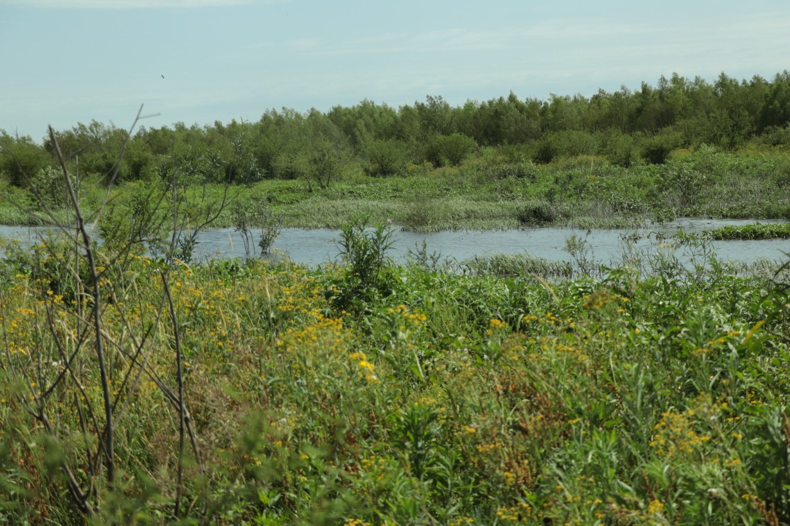 RND Isla Martín Fierro