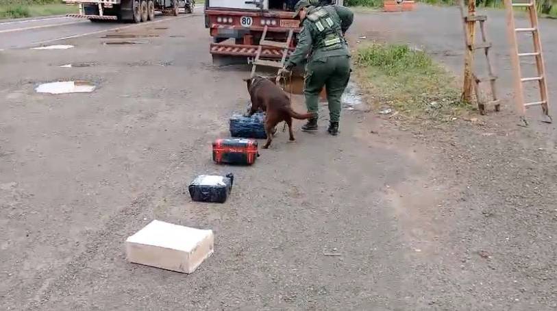 Le encontraron más de un kilo de marihuana en su casa, dijo que fumaba  como una bestia y la Justicia lo absolvió