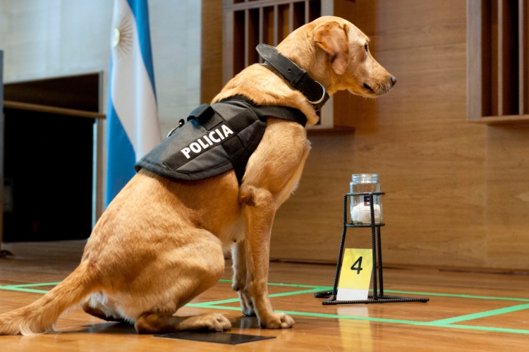 IV Seminario Nacional de Policía Científica