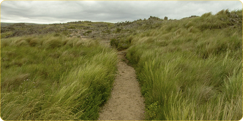  PN Quebrada del Condorito