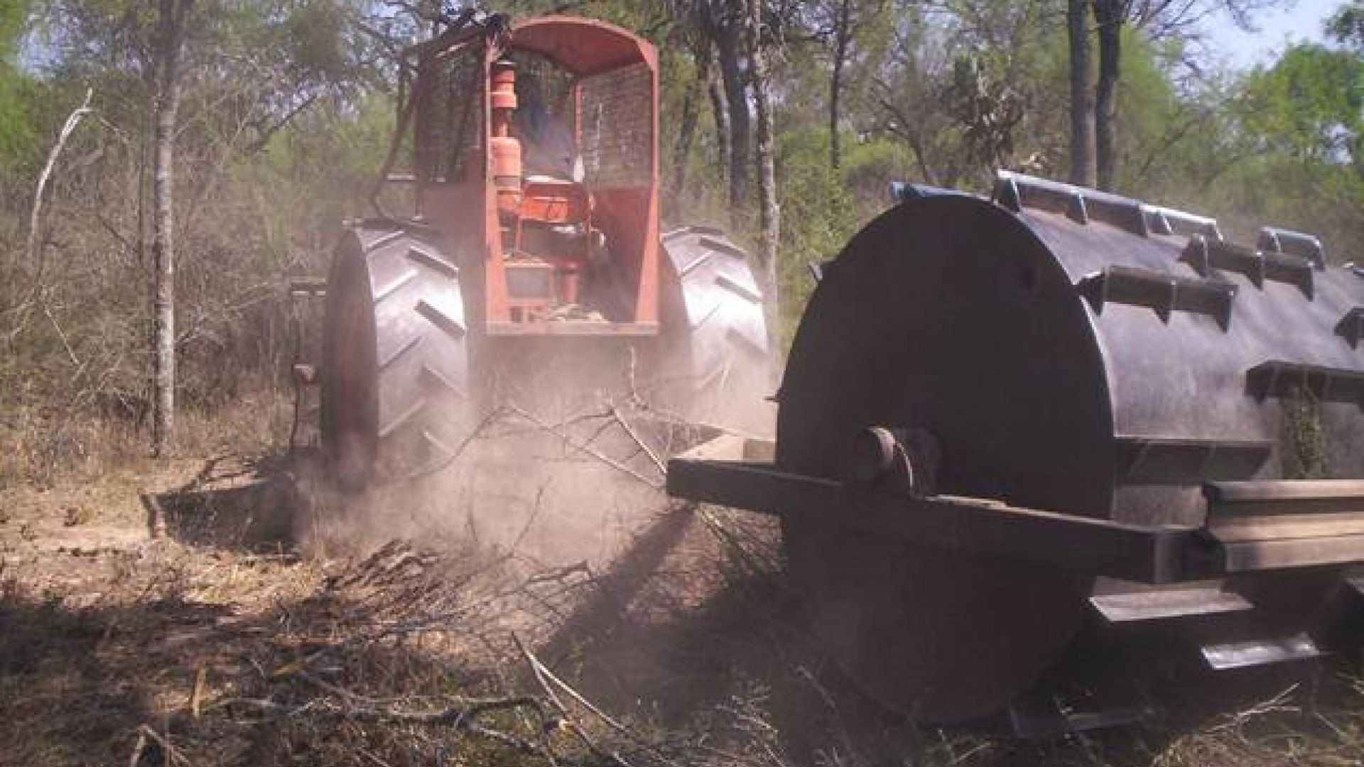 noticiaspuertosantacruz.com.ar - Imagen extraida de: https://argentina.gob.ar/noticias/manejo-de-la-vegetacion-nativa-para-la-ganaderia-rolado-de-baja-intensidad