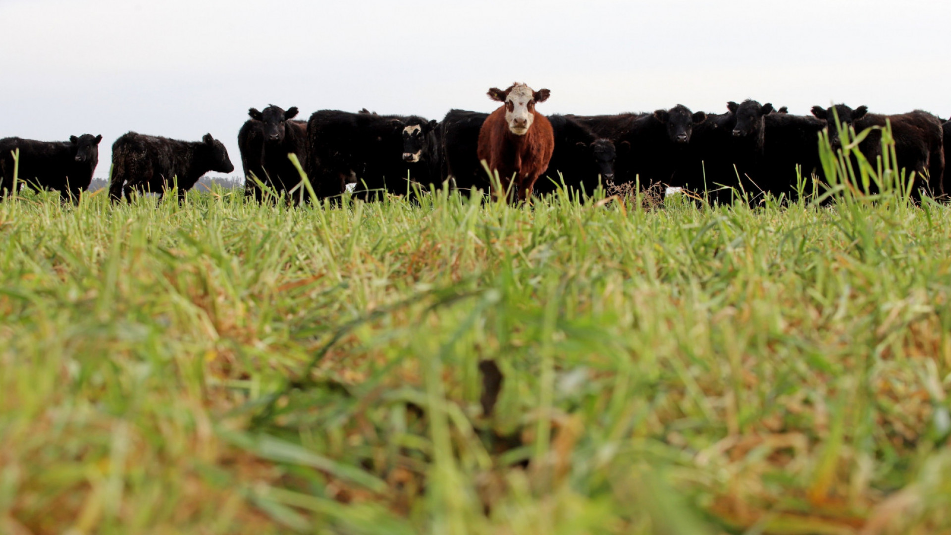 noticiaspuertosantacruz.com.ar - Imagen extraida de: https://argentina.gob.ar/noticias/el-gobierno-elimina-derechos-de-exportacion-en-productos-agroindustriales-para-fortalecer