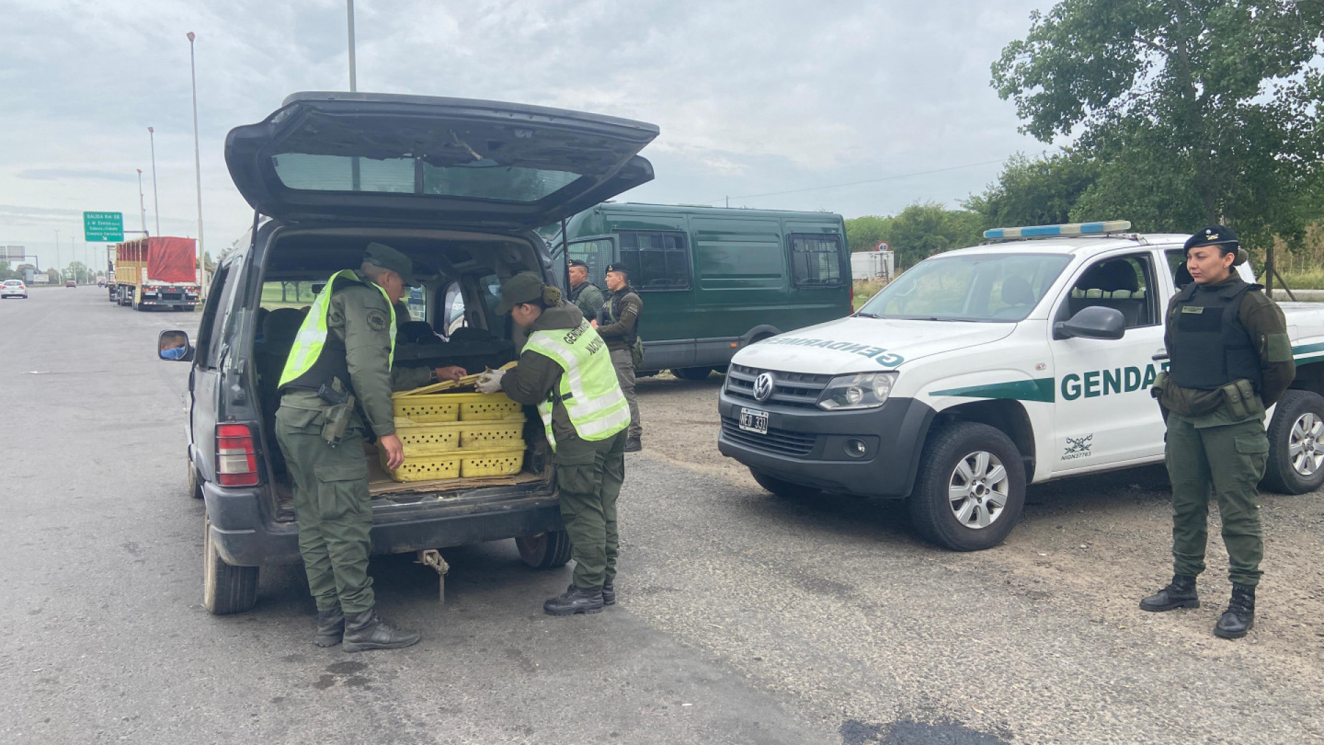 noticiaspuertosantacruz.com.ar - Imagen extraida de: https://argentina.gob.ar/noticias/viajaba-con-150-patos-en-el-baul-de-su-vehiculo