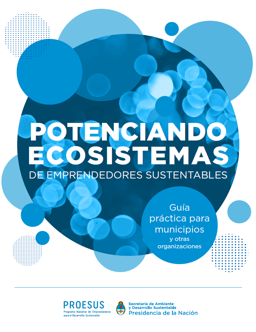 Guía Metodológica "Potenciando Ecosistemas De Emprendedores ...