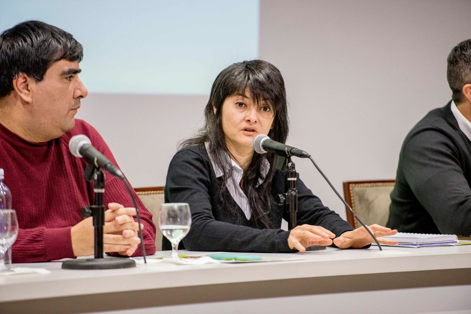 Greta Pena, titular del INADI, en la presentación del programa Territorios contra la Discriminación