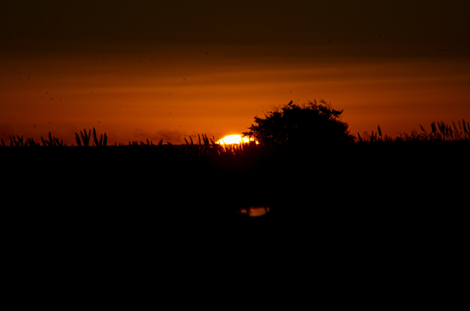 PN Campos del Tuyú.