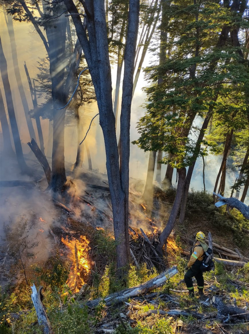 Alerces, Lanin y Huapi, activos.