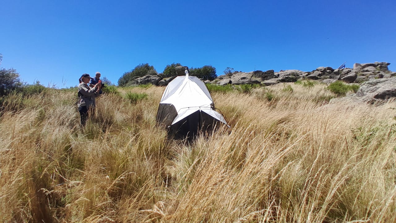 Se instalaron tres carpas.