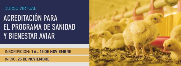 Sanidad y Bienestar Aviar - Noviembre 2024