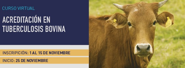 Tuberculosis Bovina - Noviembre 2024