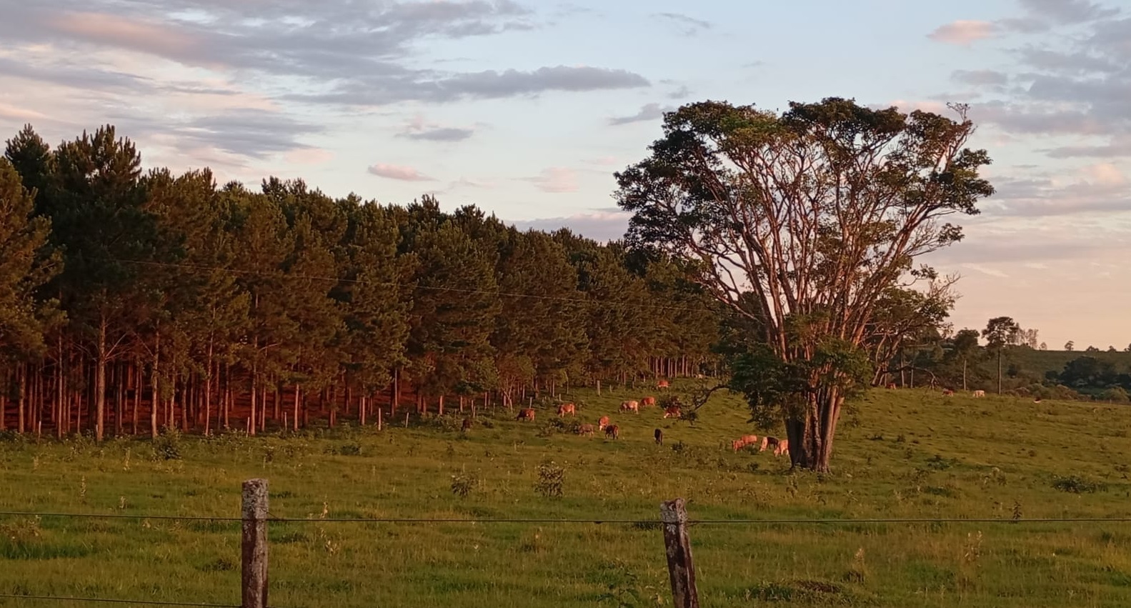 Misiones